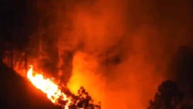Photo of नैनीताल की कॉलोनी तक पहुंची जंगल की आग, बुलाई गई सेना