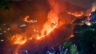 Photo of उत्तराखंड के जंगलों में लगी आग पर सुप्रीम कोर्ट सख्त, ‘बारिश या क्लाउड सीडिंग के भरोसे नहीं बैठ सकते’