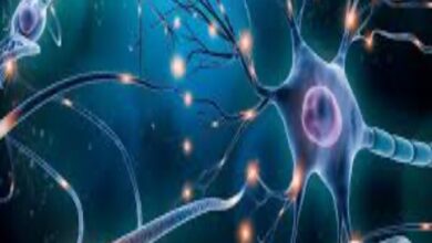 Photo of प्राकृतिक रूप से न्यूरॉन्स बढ़ाने के 6 सुझाव