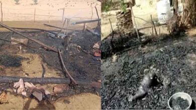 Photo of बीकानेर के बिंझरवाली में किसान के घर अचानक लगी आग, छप्पर में बंधे दो पशुओं की जलने से मौत