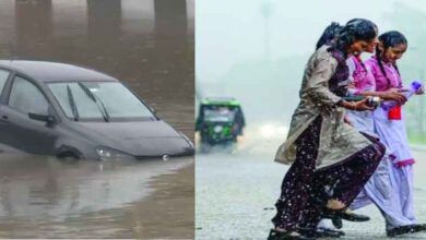 Photo of मानसून दो दिन में ढंक लेगा, दिल्ली समेत उत्तर पश्चिमी व पूर्वी राज्यों में होगी मूसलाधार बारिश