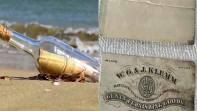 Photo of अमेरिका के न्यू जर्सी की रहने वाली एक महिला को समुद्र में एक बोतल मिली, अंदर लिखा था ऐसा मैसेज, रह गई हैरान!